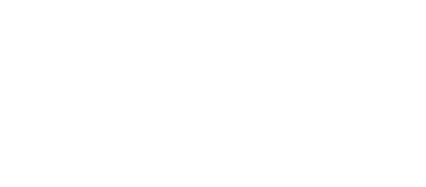 Zelf Experience